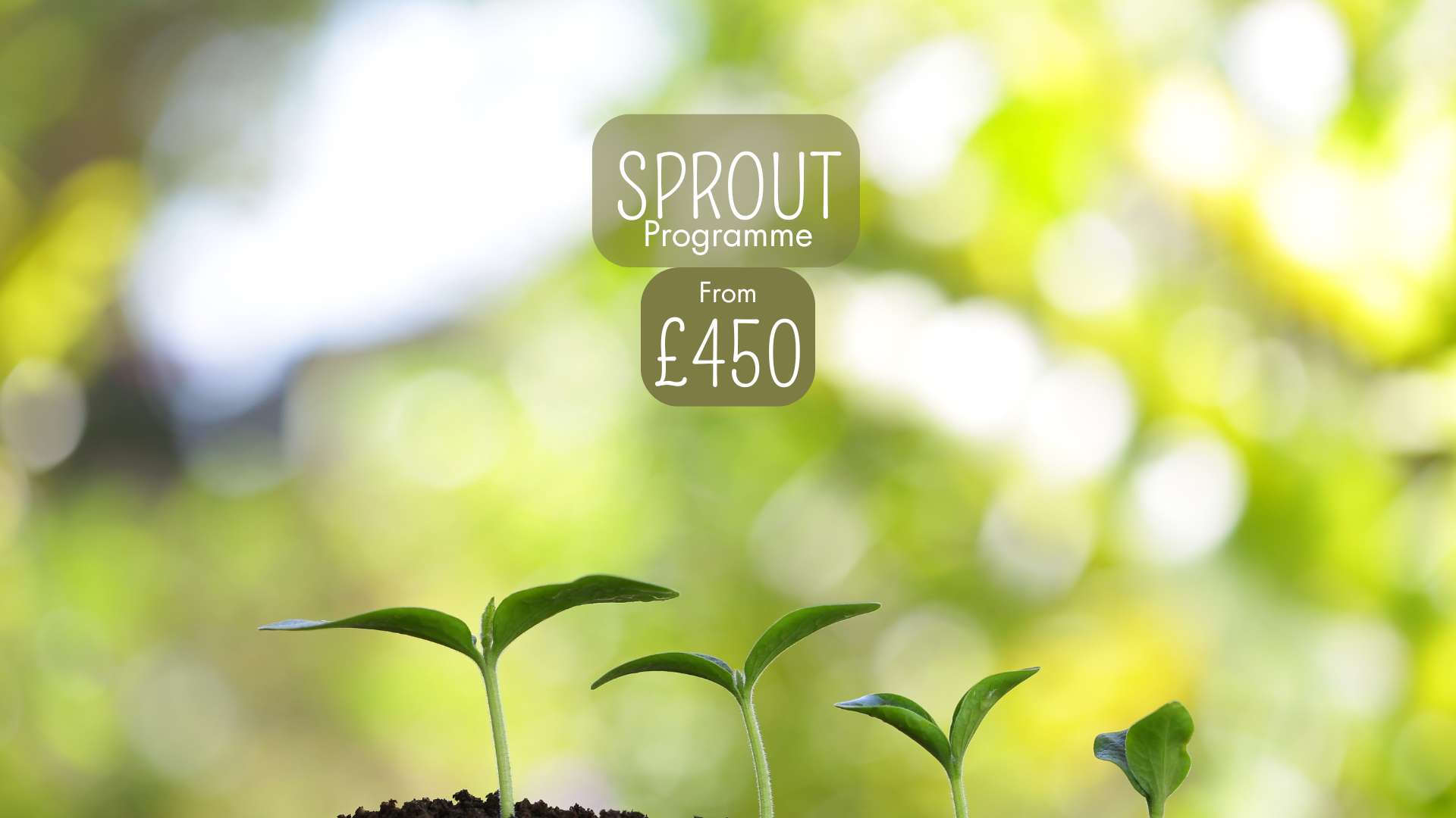Sprout Programme