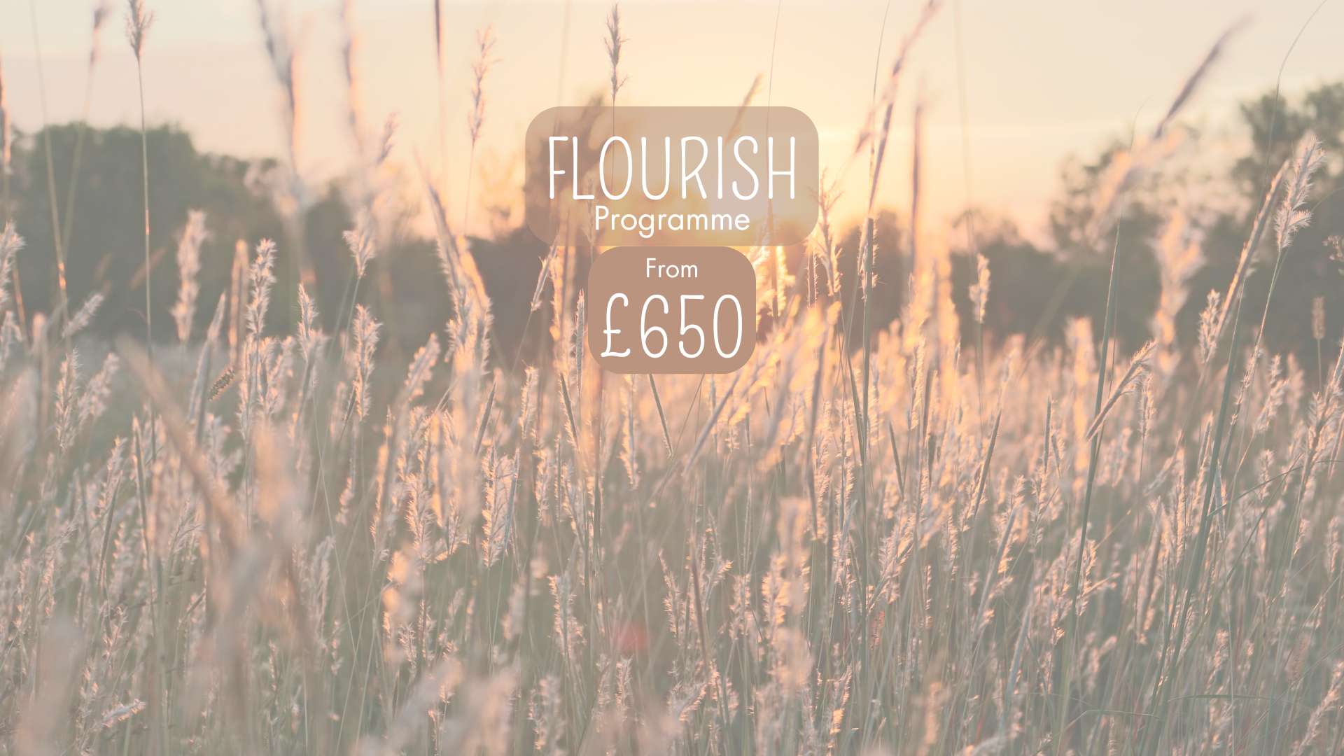 Flourish Programme