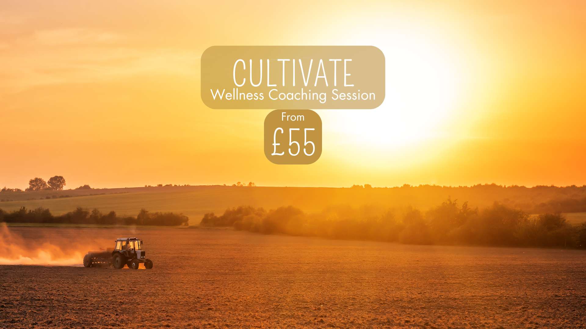 Cultivate Wellness Coaching Session