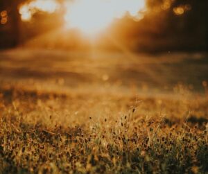 Summer Reset