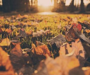 Vitamin D Deficiency