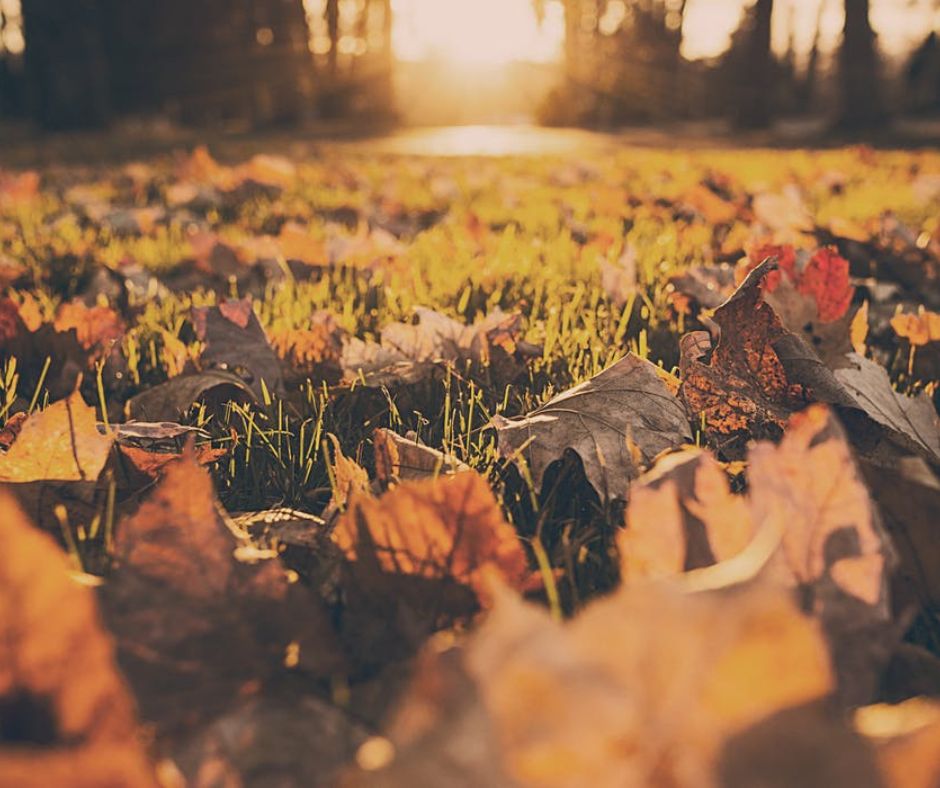Blog 8a Vitamin D Deficiency
