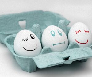 How do you know Protein is working?