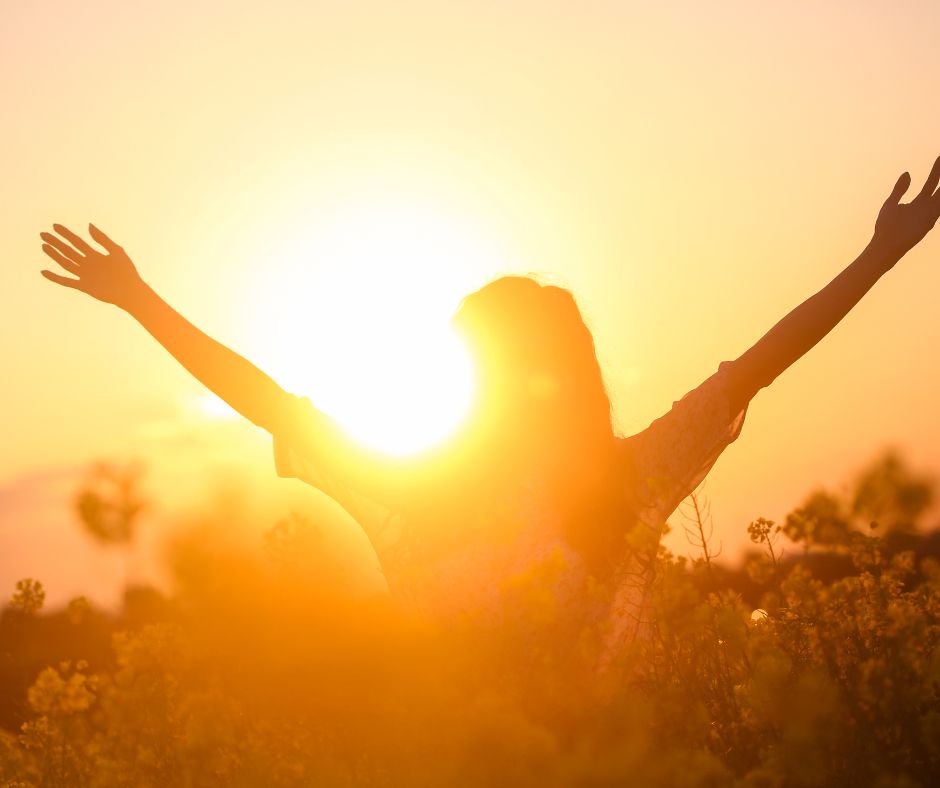 Blog 13a World Menopause Day