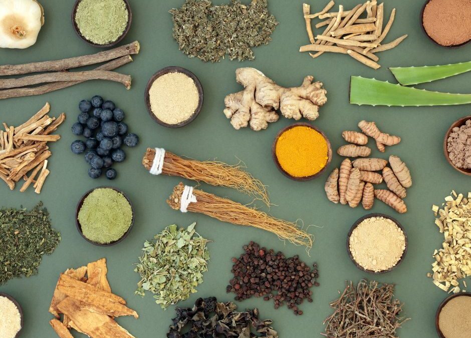 Adaptogens – nature’s stress support for modern life
